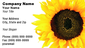 Featured Designs |--| At69596 | Sergio Hayashi | Sunflower