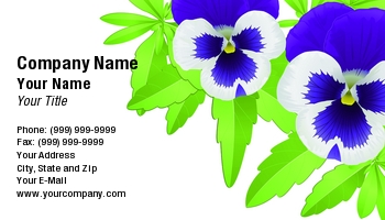 Featured Designs | Floral | Garden | Nature | Trades |--| At70162 | Composed | Flowers | Illustration | Laurent Renault | Pansies | Pansy | Violet