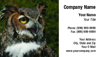 Featured Designs | Nature |--| At71182 | Bird | Business | Card | Club | Collecting | Enthusiast | Excellent | Mark Javer | Merchandise | Owl | Photo | Rescue | Selling | Striking