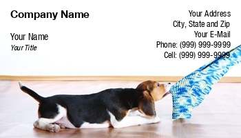 Featured Designs |--| At71866 | Beagle | Dog Sitter | Dog Trainer | Monika Wisniewska | Puppy
