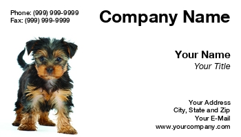Animals | Featured Designs | People |--| At72156 | Background | Beautiful | Business | Card | Choice | Cute | Dog | Dogs | Great | Love | Monika Wisniewska | Pets | Puppy | Sitter | Terrier | Vet | White | Yorkshire | Yorkshire Terrier