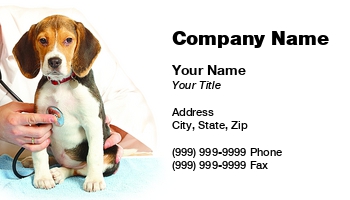 Animals | Featured Designs | Veterinarian |--| At72277 | Beagle | Beagles | Business | Card | Check | Designed | Dog | Dog Boarding Kennel | Dog Kennel | Making | Monika Wisniewska | Puppy | Sitting | Stethoscope | Straight | Vet