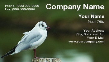 Featured Designs |--| At72549 | Bed | Bird | Lior Filshteiner | Pole | River | Seagull | Standing