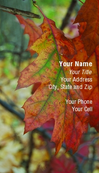 Featured Designs | Nature |--| At70377 | Autumn | Autumn Decorations | Background | Blue | Bright | Color | Colorful | Deep | Drop | Fall | Float | Foliage | Green | June Reed | Leaf | Leaves | Life | Light | Liquid | Maple | Natural | Orange | Outdoor | Park | Peace | Plant | Red | Reflection | Season | Seasonal | Serene | Silence | Surface | Symbol | Texture | Tranquility | Tree | Wallpaper | Weather | Yellow