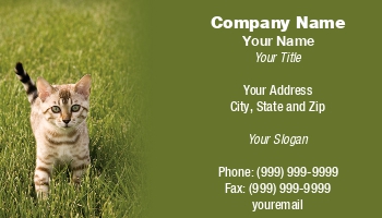 Animals | Domestic | Featured Designs |--| Animal | Animal Breeder | Animal Care | At73010 | Attractive | Background | Breeding | Cat | Exotic Pet | Exotic Pets | Industries | Interesting | Lovers | Pet | Pet-psychologist | Steve Heap | Sure