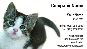 Animals | Domestic | Featured Designs |--| At73348 | Pet Photography | Rhonda Franks