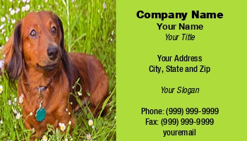 Featured Designs |--| At73796 | Breeders | Dachshund | Lee Barnwell | Longhaired | Owners | Pet | Pink | Sitting | Template | Used | Wildflowers