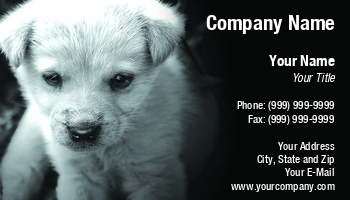 Featured Designs |--| #039 | Adoption | Agency | Amp | Animal | Animal Adoption | Animal Breeder | Animal Care | At74283 | Black | Business | Card | Care | Cute | Dog | Dog Breeder | Homeless | Impact | Increase | Pet Sitter | Pet-psychologist | Public | Puppy | Road | Spca | Tudorspinu | Used | White