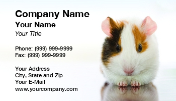 Animals | Domestic | Featured Designs |--| Animal Doctor | At74505 | Business | Guinea | Guinea Pig | Ideal | Jozsef Szasz-fabian | Pet | Pig | Related | Rodent | Rodents | Shop | Sitting | Veterinary | Veterinary Assistant | View