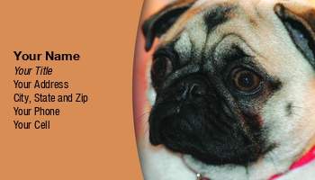 Animals | Domestic | Featured Designs |--| At74534 | Breeder | Business | Card | Club | Customize | Dog | Dog Sitter | Dog Trainer | Dog Walker | Great | Mark Javer | Pets | Pug | Ready | Sitter | Today! | Trainer