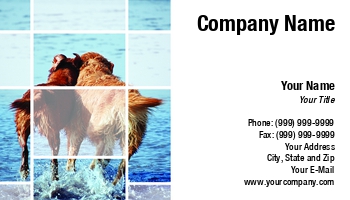 Beach | Featured Designs | Nature |--| At74961 | Business | Card | Dog | Dog Bathing | Dog Walking Service | Dogs | Golden | Golden Retriever | Love | Pets | Retrievers | Showing | Tommy Maenhout