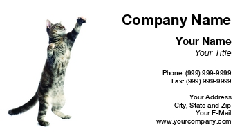 Featured Designs |--| At74977 | Business | Card | Cat | Company | Cute | Reaching | Showing | Tommy Maenhout