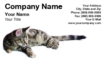 Featured Designs |--| At74988 | Business | Card | Cat | Cute | Kitting | Laying | Showing | Tommy Maenhout