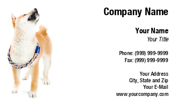 Featured Designs |--| At74991 | Business | Card | Cute | Dog | Dog Sitter | Dog Trainer | Dog Walker | Image | Inu | Puppy | Shiba | Tommy Maenhout