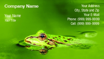Aquatic | Featured Designs |--| Amphibian | At75002 | Business | Card | Colorful | Frog | Image | Pet Store | Tommy Maenhout