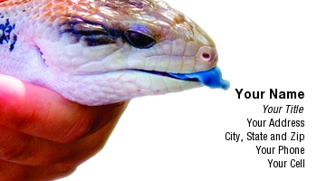 Featured Designs |--| At75215 | Joseph Tan Matt | Pet | Pet Store | Pets | Reptile