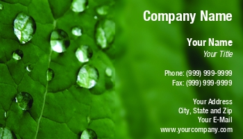 Featured Designs |--| Allyson Ricketts | At75332 | Botany | Ecology | Green | Leaf | Plant Watering Service | Wet