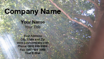 Christian | Featured Designs | People | Religion |--| At75491 | Bringing | Glory | God | Light | Shang