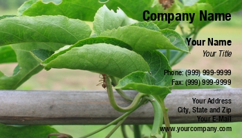 Featured Designs |--| Agriculture | At75493 | Grower | Shang | Vine | Vineyard