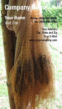 Featured Designs | Fishing | Trades |--| At75495 | Fishing Net Manufacturer | Hanging | Net | Shang | Tree