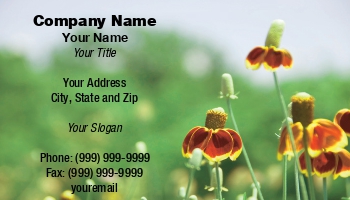Featured Designs | Floral | Nature |--| At75687 | Donna Beeler | Flowers