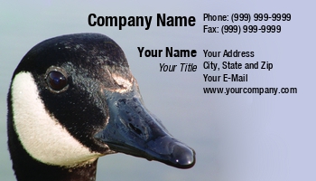 Featured Designs |--| At77231 | Bird | Gerry Fagan