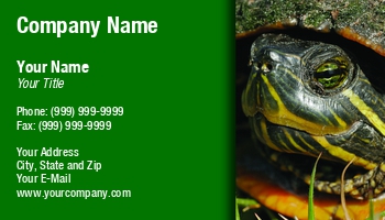 Animals | Farm | Featured Designs | Nature | Veterinarian |--| Animal | At77527 | Business | Card | Great | Hospital | Involved | Mark Javer | Rescue | Shelter | Template | Turtles | Vet