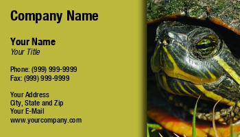 Animals | Farm | Featured Designs | Nature | Veterinarian |--| Animal | At77528 | Business | Card | Great | Hospital | Involved | Mark Javer | Rescue | Shelter | Template | Trapper | Turtle | Turtles | Vet