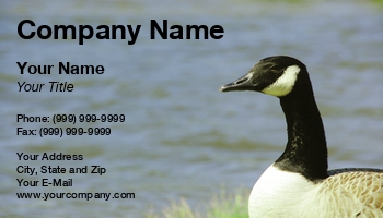 Featured Designs | Nature |--| Able | At77677 | Bird | Birds | Business | Deals | Design | Donna Beeler | Duck | Geese | Goose | Lake | Profile | Shore | Showing | Sitting | Water
