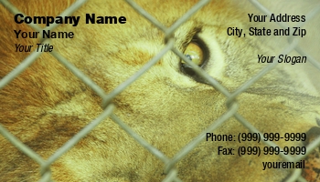 Animals | Featured Designs |--| #039 | African Animal | African Animals | Animal | At77707 | Breeders | Business | Cage | Close | Design | Donna Beeler | Eye | Img | Lion | Rights | Showing | Used | Welfare | Wildlife | Zoo Animals