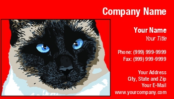 Animals | Featured Designs | Grooming | Professional |--| Animal | At77756 | Background | Breeds | Care | Cat | Cats | Karen Carter | Perfect | Portrait | Red | Selective | Siamese | Siamese Cat | Specializes | Works