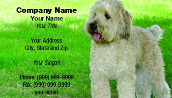 Animals | Featured Designs | Grooming | Veterinarian |--| Animal Doctor | At77834 | Boarding | Cindy Farmer | Dog | Dog Boarding Kennel | Dog Groomer | Dog Trainer | Groomer | Kennel | Shelter | Veterinary Specialist | Veterinary Technician