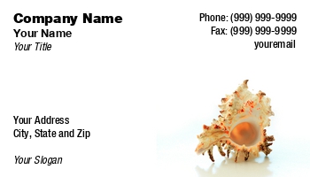 Beach | Featured Designs | Nature |--| At78658 | Business | Card | Donna Beeler | Sea | Shell | Template