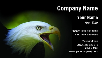 Americas | Featured Designs | Patriotic |--| American | At78821 | Bald | Bald Eagle | Bird | Eagle | Image | Raptor | Tom Purse