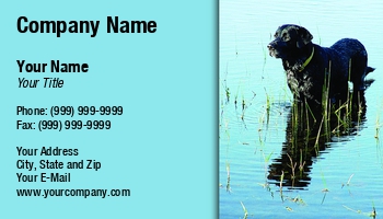 Featured Designs | Professional | Sales |--| At79002 | Breeding | Business | Card | Customize | Dog | Dogs | Great | Involved | It! | Labrador | Labrador Retriever | Mark Javer | Obedience | Pet | Pets | Ready | Related | Retriever | Template | Themes | Training