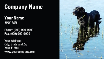 Featured Designs | Professional | Sales |--| At79003 | Breeding | Business | Card | Customize | Dog | Dogs | Great | Involved | It! | Labrador | Labrador Retriever | Mark Javer | Obedience | Pet | Pets | Ready | Related | Retriever | Template | Themes | Training
