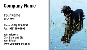 Featured Designs | Professional | Sales |--| At79004 | Breeding | Business | Card | Customize | Dog | Dogs | Great | Involved | It! | Labrador | Labrador Retriever | Mark Javer | Obedience | Pet | Pets | Ready | Related | Retriever | Template | Themes | Training