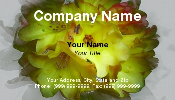Featured Designs | Floral | Nature |--| At79507 | Tom Purse
