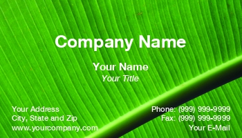 Featured Designs | Floral | Nature |--| At80137 | Leaf | Palm | Tomas Prokop