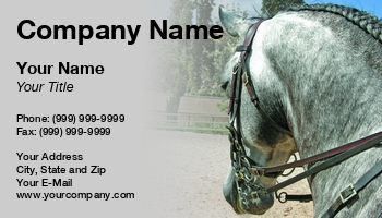 Featured Designs |--| At81275 | Braided | Competition | Dressage | Gray | Hair | Horse | Horses | Karenharris9 | Ready | Saddle | Stable