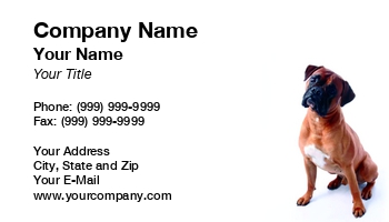 Featured Designs |--| At81399 | Boxer | Dog | Dog Breeder | Penny Williams