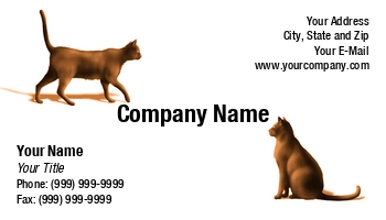 Animals | Featured Designs | Veterinarian |--| Abyssinian | At82738 | Cats | Judy Ben Joud | Second | Sitting | Walking