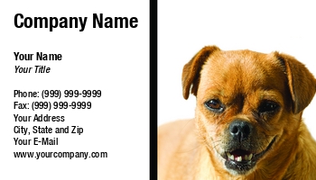 Featured Designs |--| At82857 | Dog Photographer | Pet Photography | Sinisa Botas