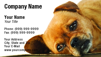 Animals | Domestic | Featured Designs |--| At82910 | Boxer | Sinisa Botas