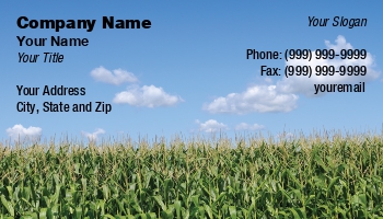 Featured Designs |--| Agriculture | At83111 | Business | Card | Commodity Broker | Corn | End | Field | Hamiza Bakirci | High | Template