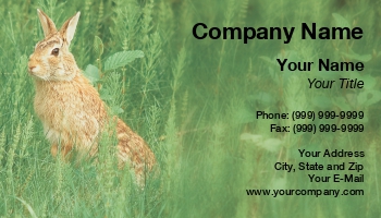 Featured Designs | Wild |--| At85305 | Bunny | Bunny Rabbit | Hare | Hunter | Rabbit | Timothy Epp | Wild Rabbit