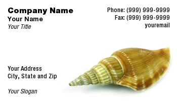 Beach | Featured Designs | Nature | Ocean | Professional | Travel |--| Agency | At85777 | Background | Life | Martin Muransky | Relax | Sea | Seashells | Shell | Tropical | Vacation | White