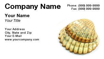 Featured Designs | Nature | Ocean | Professional | Travel |--| Agency | At85779 | Background | Life | Martin Muransky | Relax | Sea | Seashells | Shell | Tropical | Vacation | White