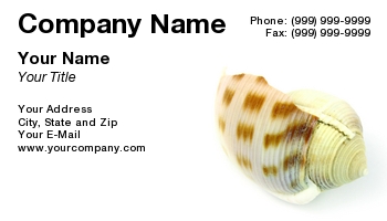 Featured Designs | Nature | Ocean | Professional | Travel |--| Agency | At85780 | Background | Life | Martin Muransky | Relax | Sea | Seashells | Shell | Tropical | Vacation | White