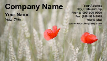 Featured Designs | Floral | Nature | Wild |--| At87654 | Awesome | Business | Card | Flower | Flowers | Iain Frazer | Poppies | Template | Wild Flowers | Wildflowers